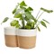 2 Pack Decorative Jute Planter with Plastic Liner, Woven Basket for Plants, Floor, Storage (11 In)